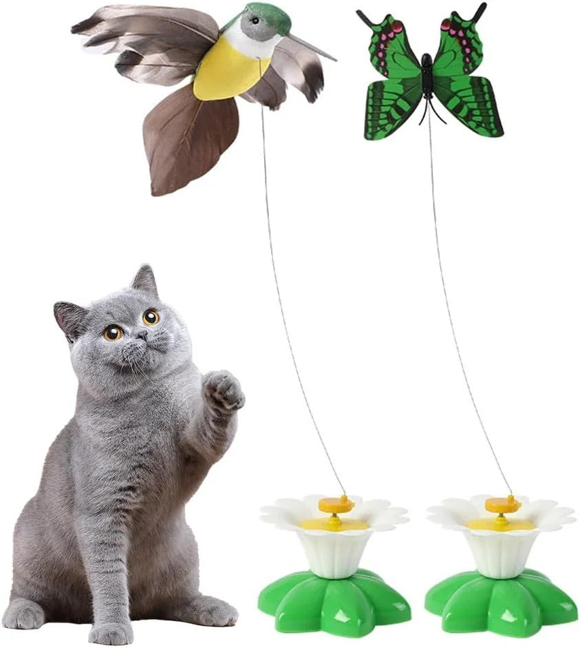 KittyKraze™- Op de natuur geïnspireerd kattenspeelgoed (50% KORTING)