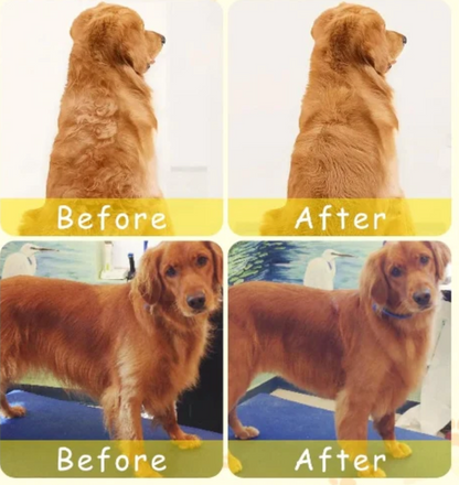 SoftBrush - Stoomborstel voor huisdieren (50% KORTING)