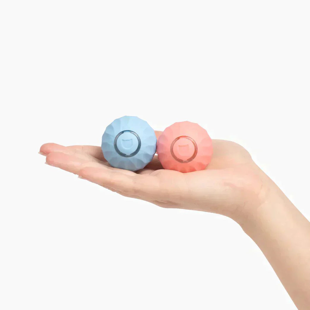 KittyBall - Zelfbewegende bal (50% KORTING)