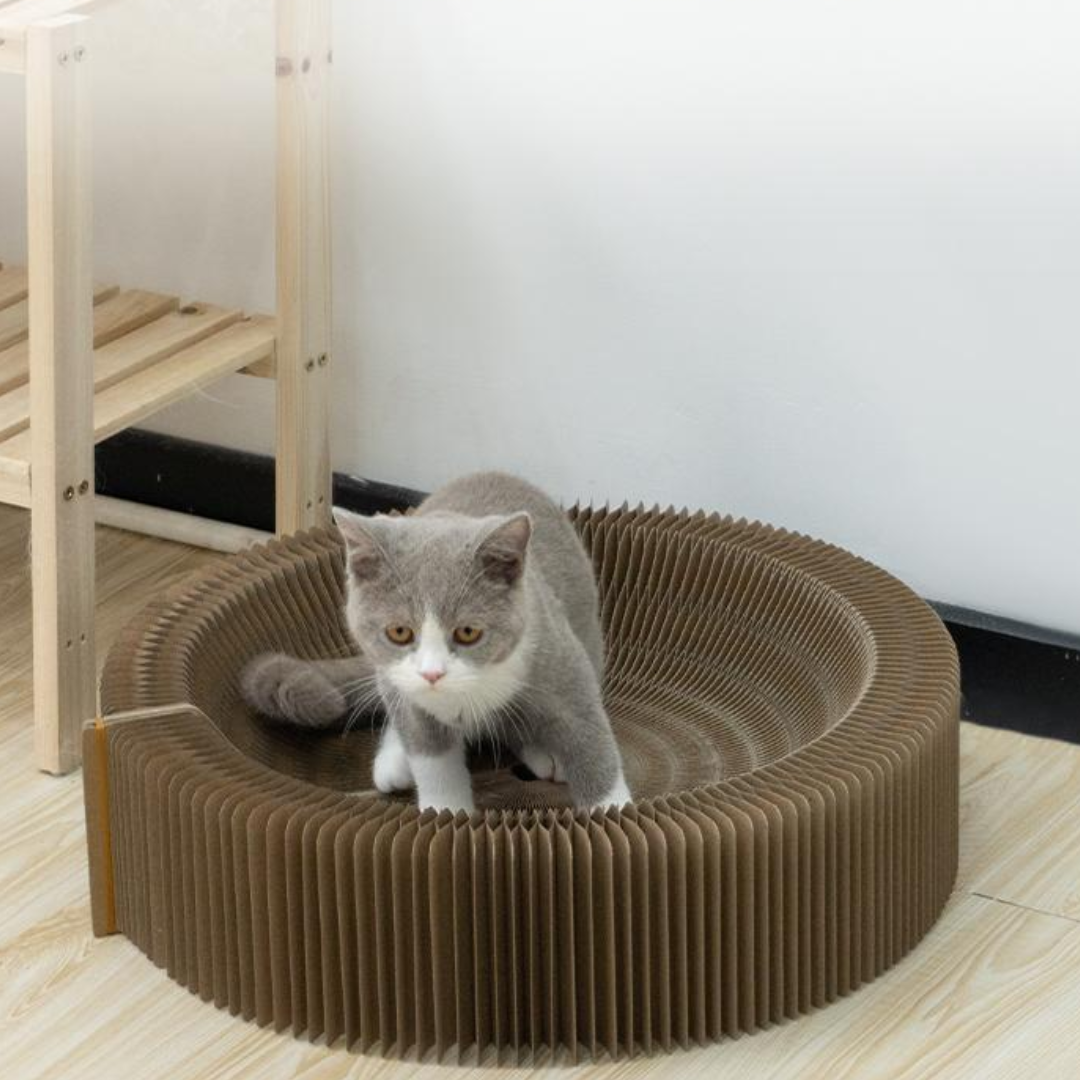 CatScratcher™ - Opvouwbare Krabplank Voor Katten (50% KORTING)