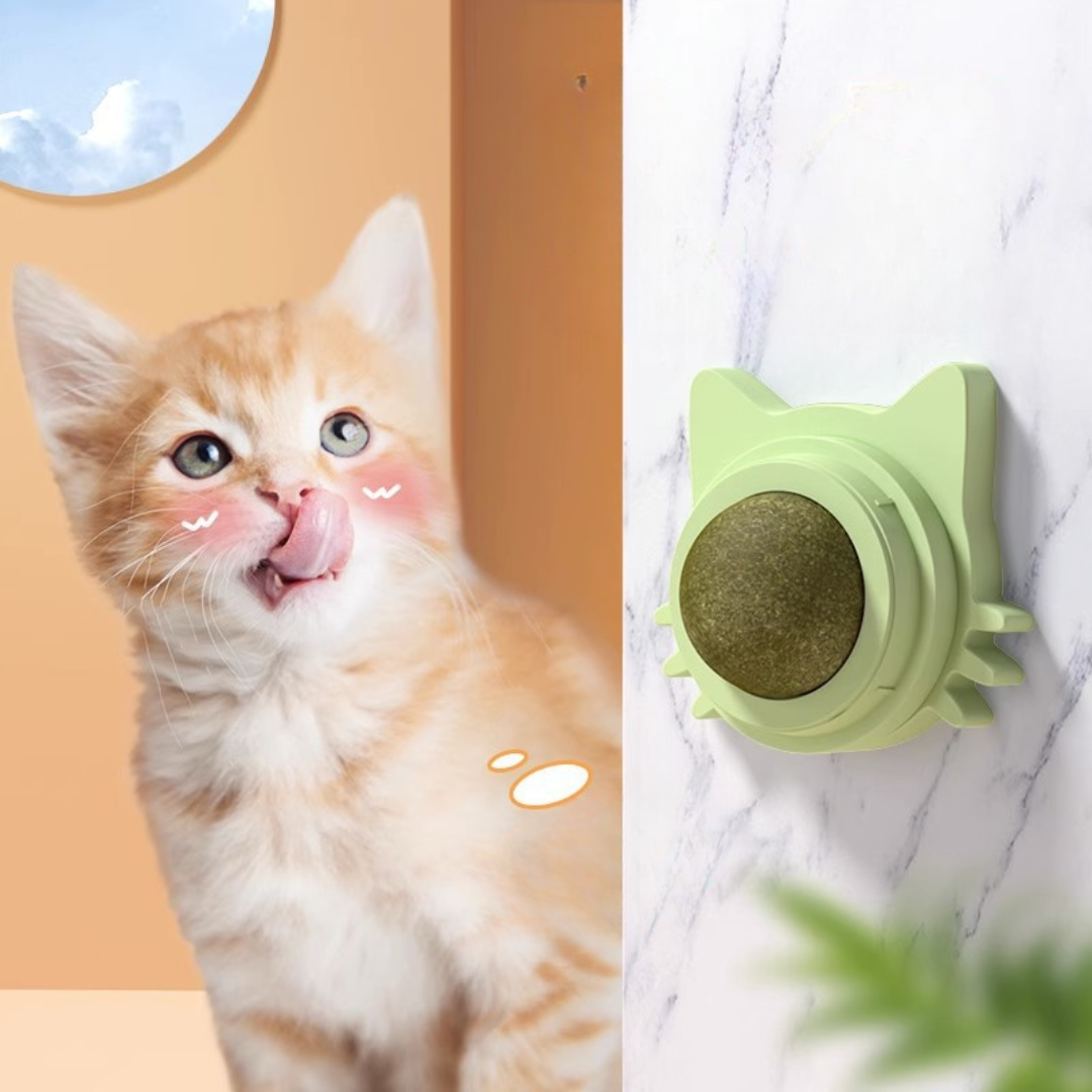 CatnipToy™ - Kattenkruid Tandenpoets Speelgoed (1+1 GRATIS)