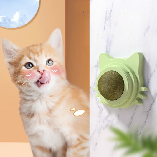 CatnipToy™ - Kattenkruid Tandenpoets Speelgoed (1+1 GRATIS)