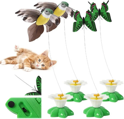 KittyKraze™- Op de natuur geïnspireerd kattenspeelgoed (50% KORTING)