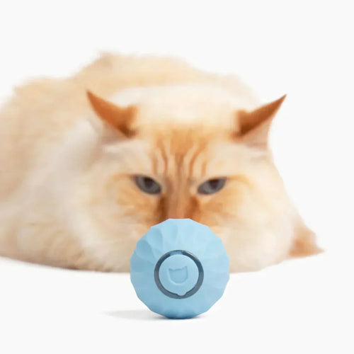 KittyBall - Zelfbewegende bal (50% KORTING)