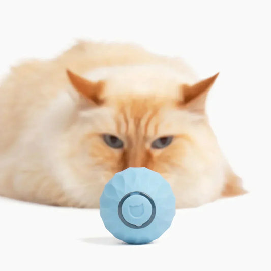 KittyBall - Zelfbewegende bal (50% KORTING)