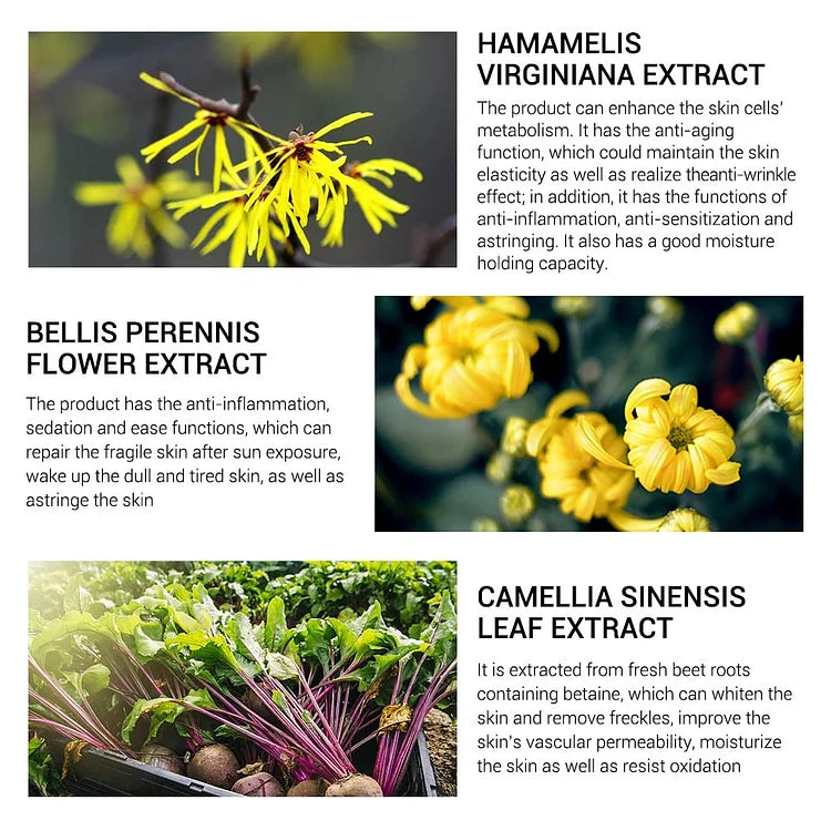 Avila™ - Eraser Waterproof Gezicht Primer Stick (50% KORTING)