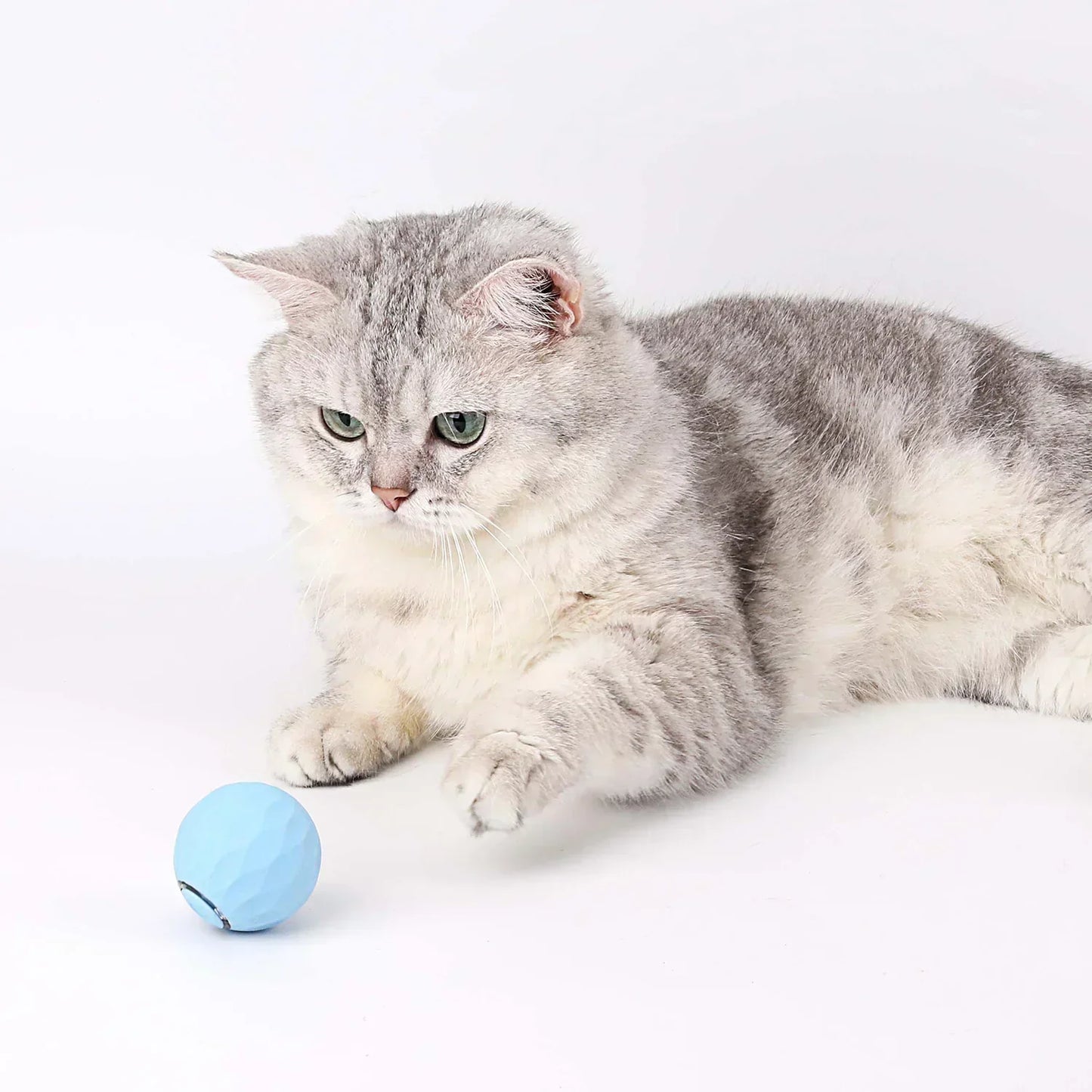 KittyBall - Zelfbewegende bal (50% KORTING)