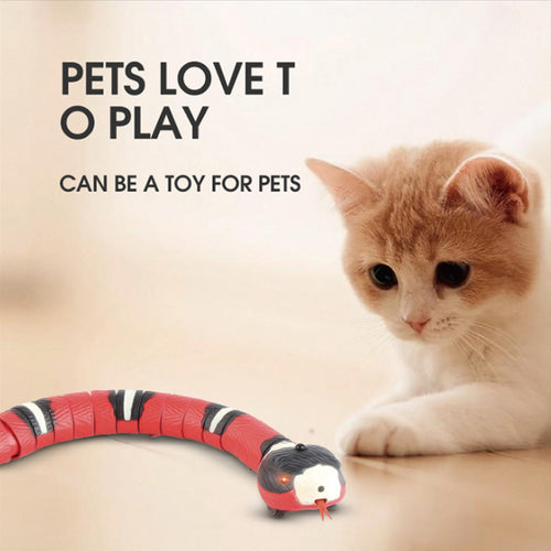 PetPlay™ - Interactieve slang voor huisdieren (50% KORTING)