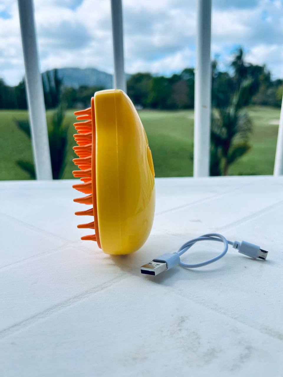 SoftBrush - Stoomborstel voor huisdieren (50% KORTING)