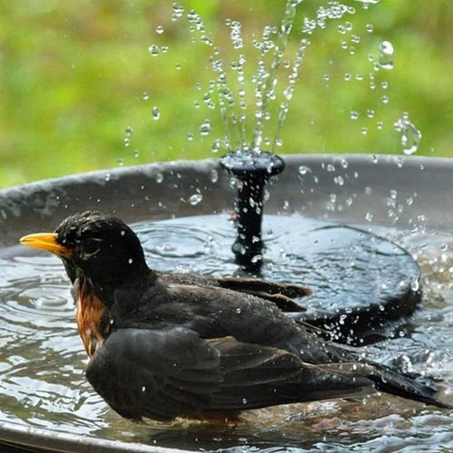 Solar-Powered Fountain™ - Een prachtige waterpartij voor uw tuin!