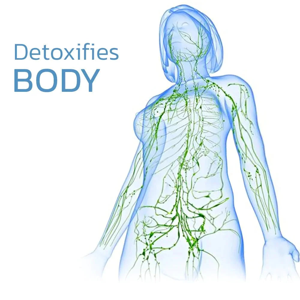 ReviveKnee™ Elite Support Kniebandage 1+1 GRATIS