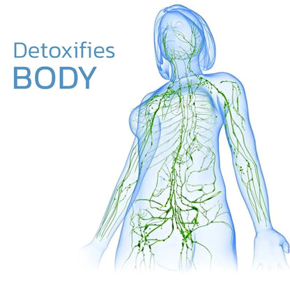 ReviveKnee™ Elite Support Kniebandage 1+1 GRATIS