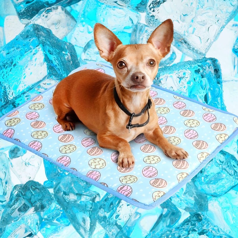 ChillPaws™  - Help je huisdier zich verfrist en ontspannen te voelen