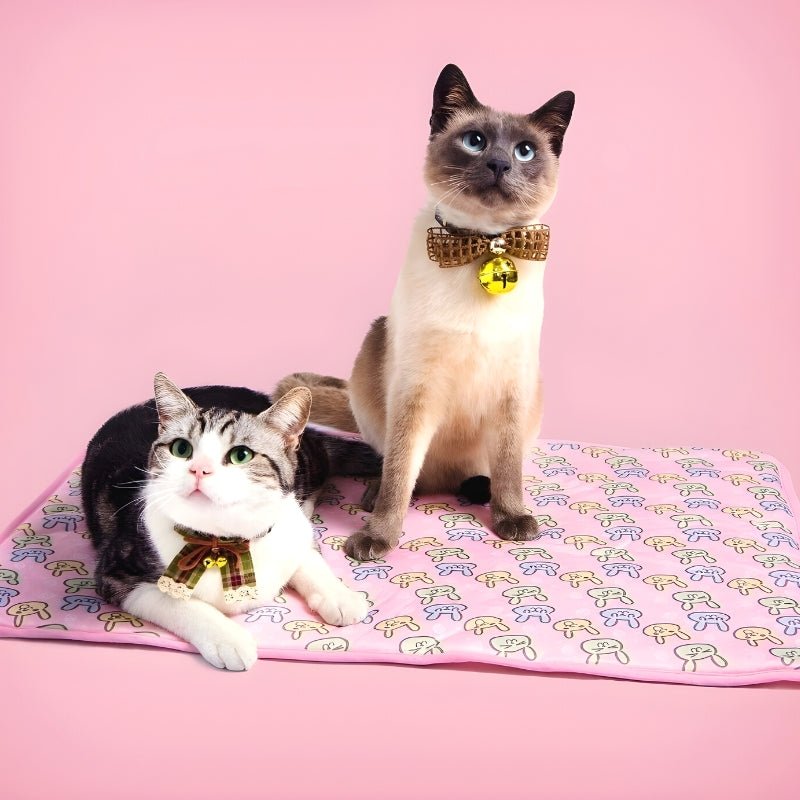 ChillPaws™  - Help je huisdier zich verfrist en ontspannen te voelen