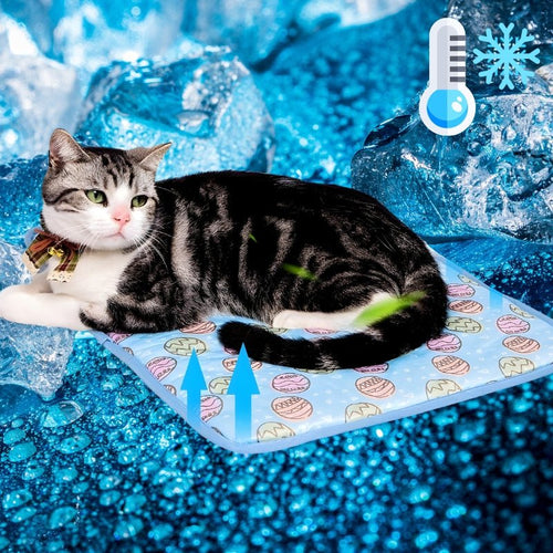 ChillPaws™  - Help je huisdier zich verfrist en ontspannen te voelen