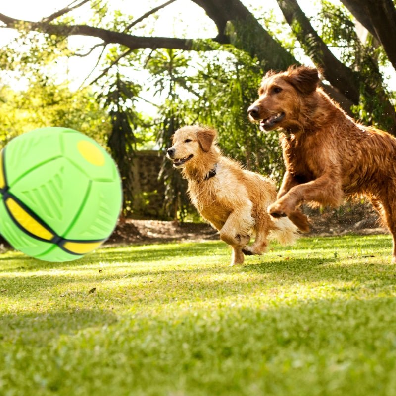 FetchFrenzy™ - Eindeloos plezier voor je harige vriend!