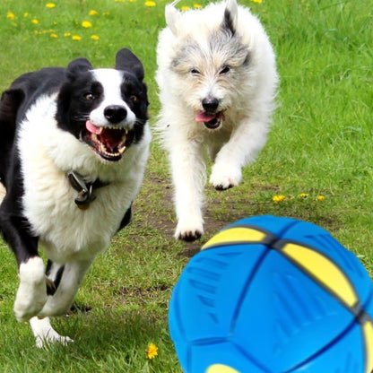 FetchFrenzy™ - Eindeloos plezier voor je harige vriend!