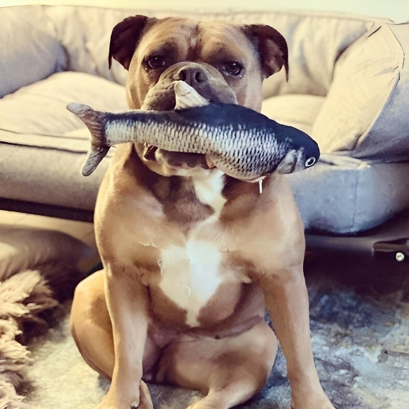 FishBop™ - Interactief plezier voor harige vrienden