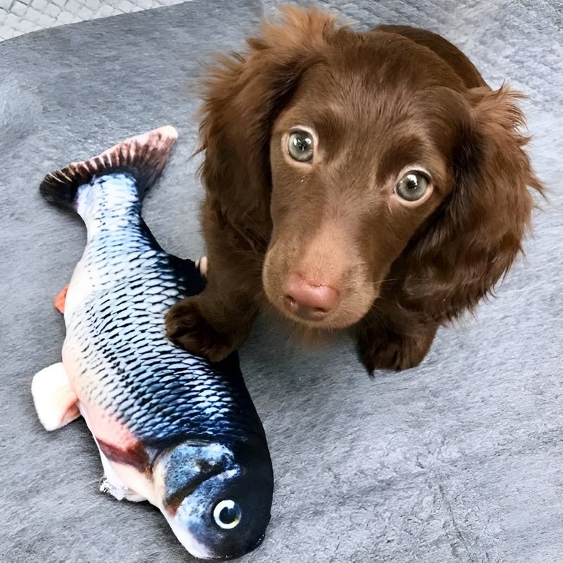 FishBop™ - Interactief plezier voor harige vrienden