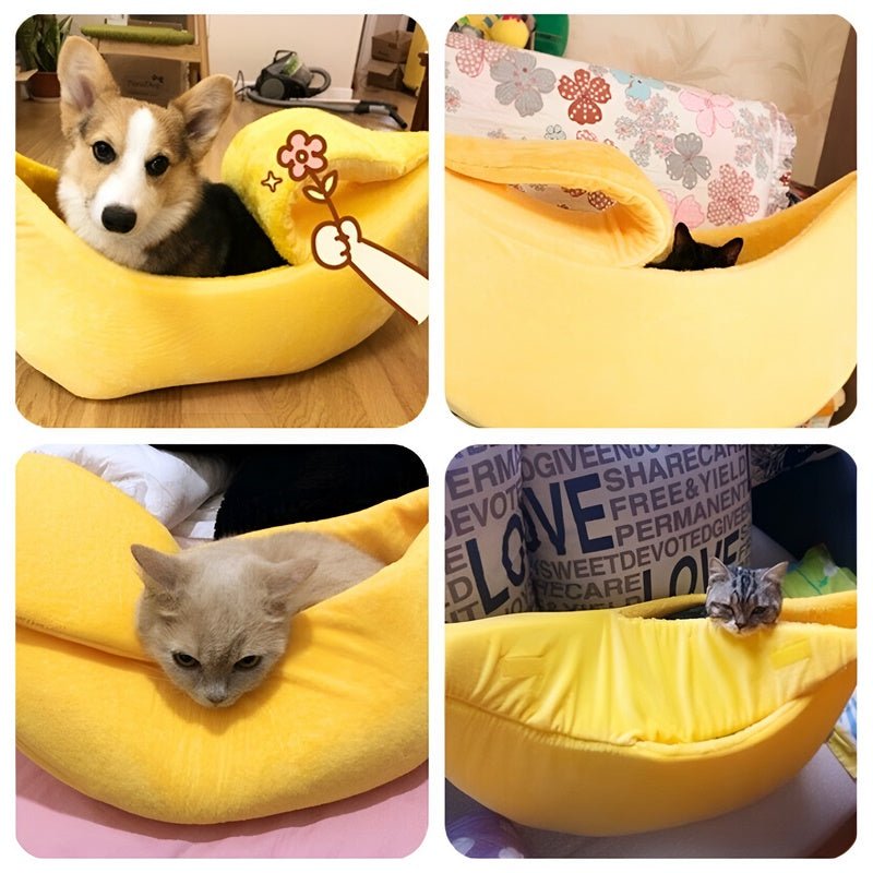 FurryFruit™ - Verbeter de slaaptijd van je kat