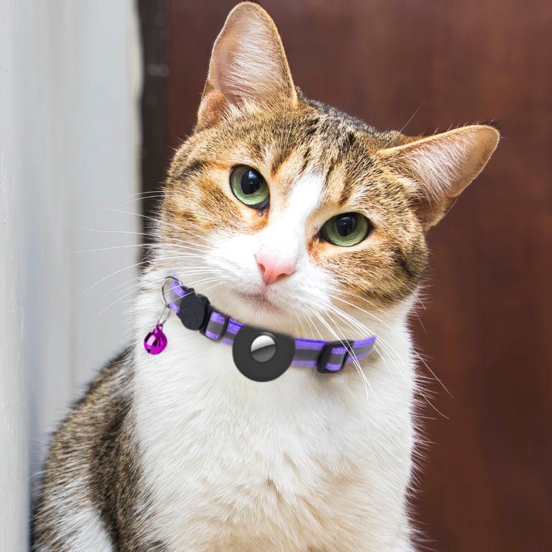 FurTag™ - Lokaliseer je kat op iedere moment