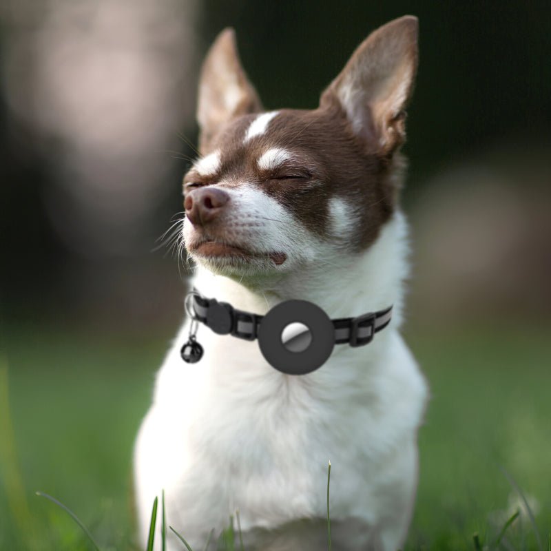 FurTag™ - Lokaliseer je kat op iedere moment