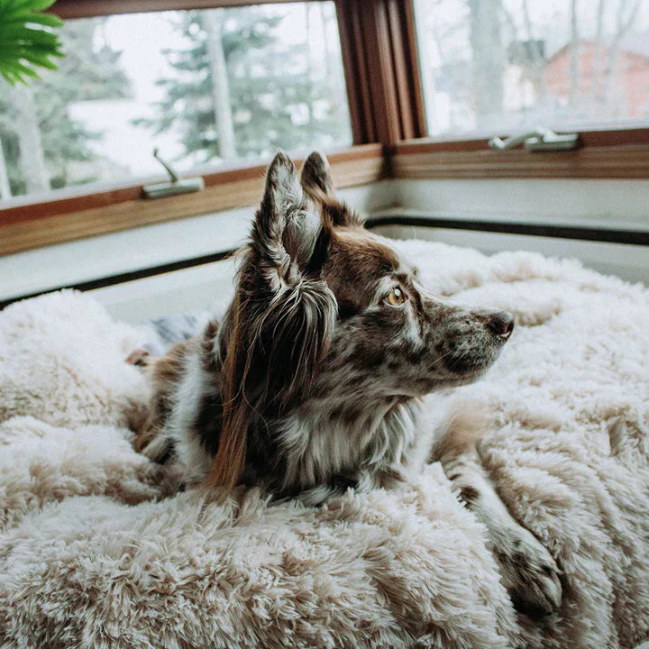 Snugy Hondendeken™ | Voorkom Slapeloosheid Voor Je Huisdier