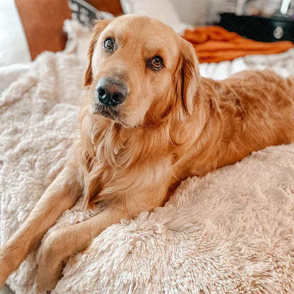 Snugy Hondendeken™ | Voorkom Slapeloosheid Voor Je Huisdier