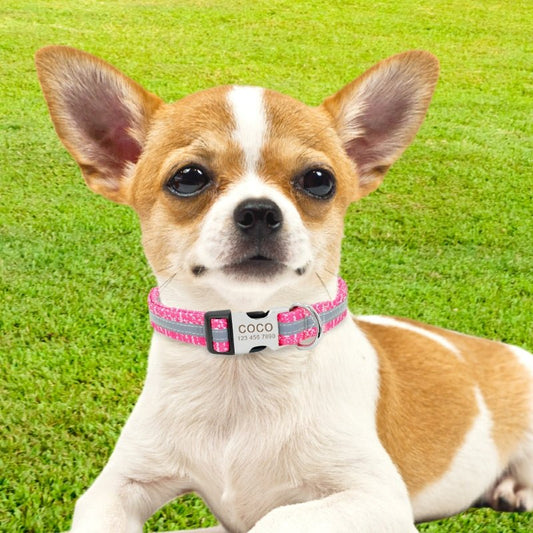 PawTag™ - Houd je huisdier veilig en stijlvol!