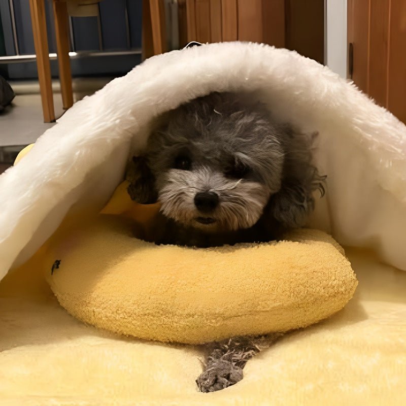 PetCozy™ - Vreugde van een vredige slaap