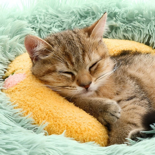 PetCozy™ - Vreugde van een vredige slaap