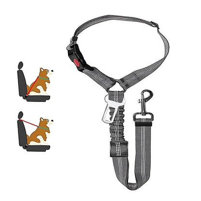 SafePaws™ - Ontspannen en veilig rijden