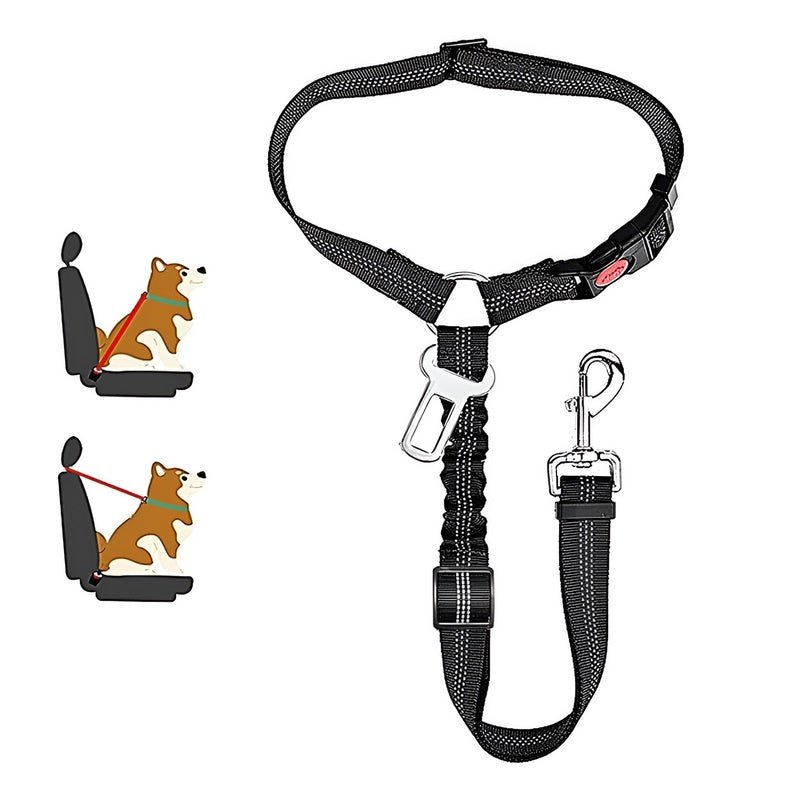 SafePaws™ - Ontspannen en veilig rijden