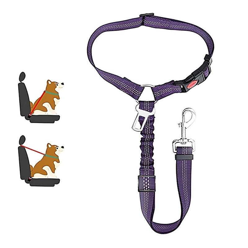 SafePaws™ - Ontspannen en veilig rijden