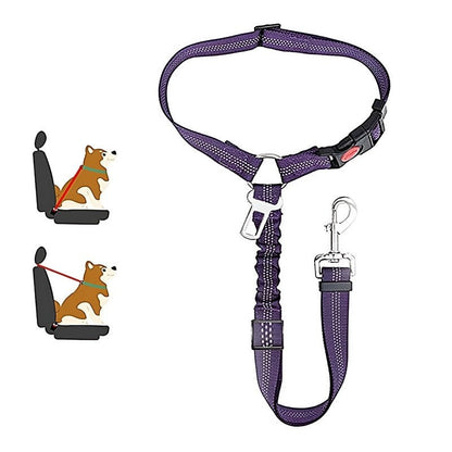 SafePaws™ - Ontspannen en veilig rijden