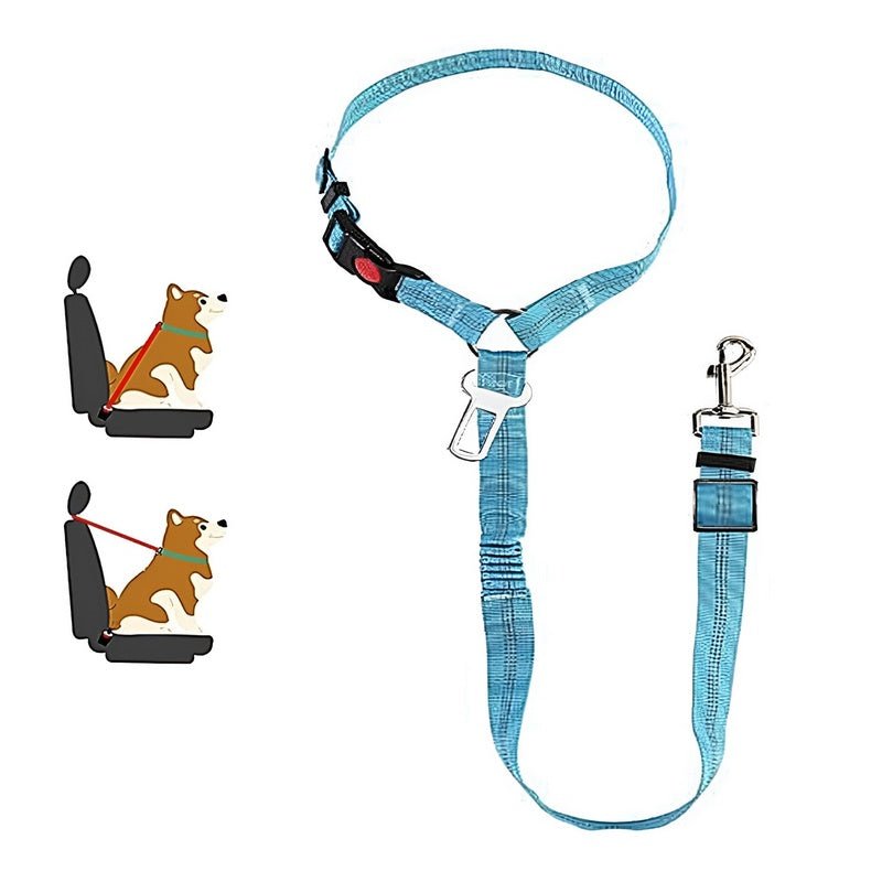 SafePaws™ - Ontspannen en veilig rijden