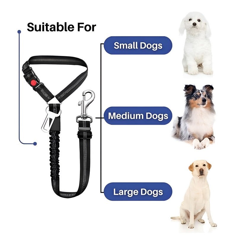 SafePaws™ - Ontspannen en veilig rijden