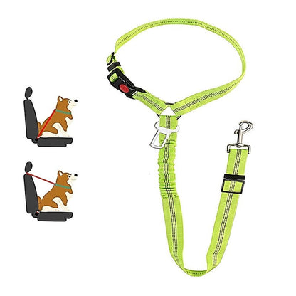 SafePaws™ - Ontspannen en veilig rijden