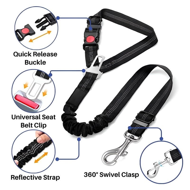 SafePaws™ - Ontspannen en veilig rijden