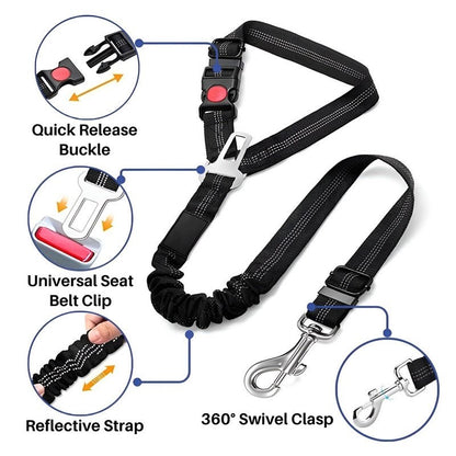 SafePaws™ - Ontspannen en veilig rijden