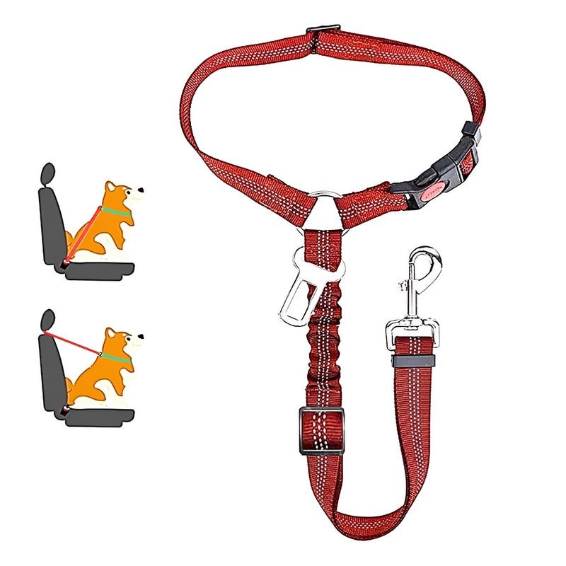 SafePaws™ - Ontspannen en veilig rijden