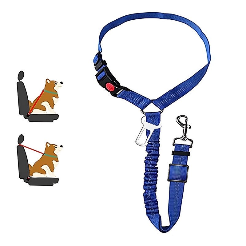 SafePaws™ - Ontspannen en veilig rijden