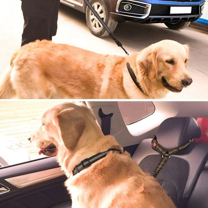 SafePaws™ - Ontspannen en veilig rijden