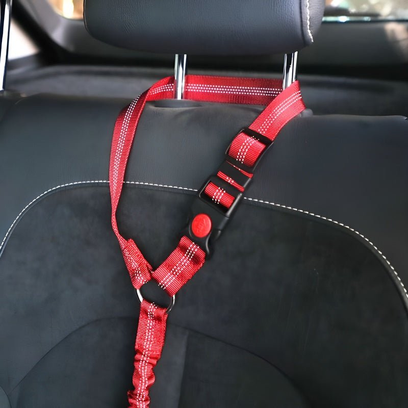 SafePaws™ - Ontspannen en veilig rijden