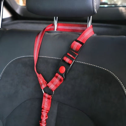 SafePaws™ - Ontspannen en veilig rijden