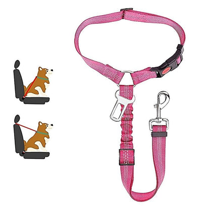 SafePaws™ - Ontspannen en veilig rijden