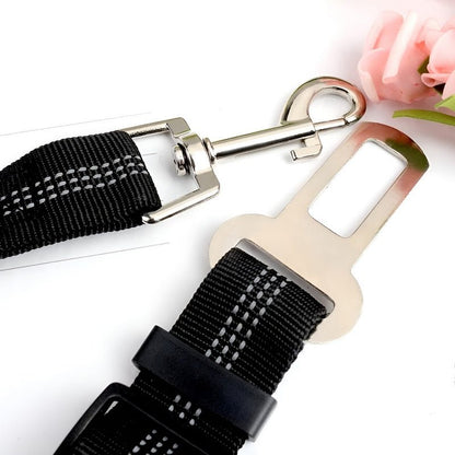 SafePaws™ - Ontspannen en veilig rijden