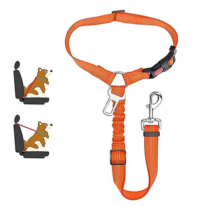 SafePaws™ - Ontspannen en veilig rijden