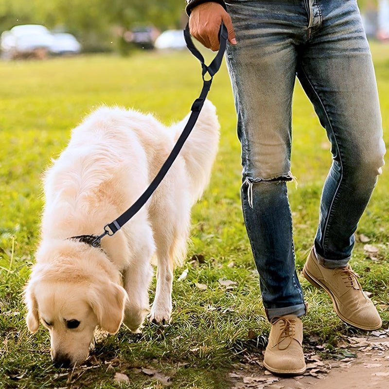 SafePaws™ - Ontspannen en veilig rijden