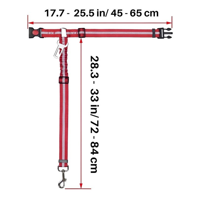 SafePaws™ - Ontspannen en veilig rijden